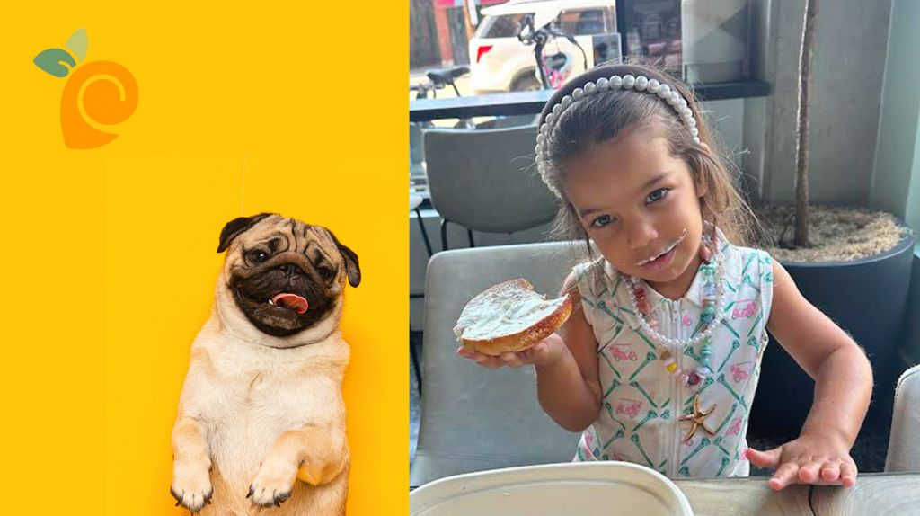 cute dog and kid at friendly cafe in cleveland