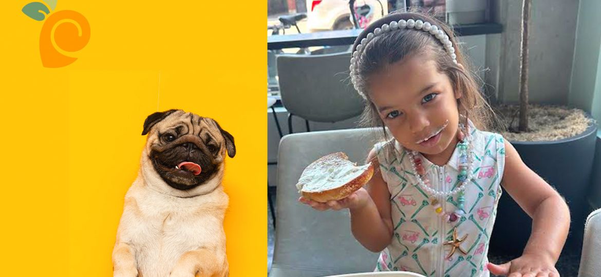 cute dog and kid at friendly cafe in cleveland