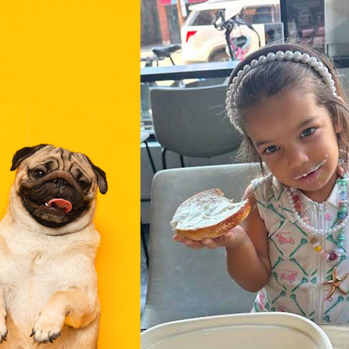 cute dog and kid at friendly cafe in cleveland